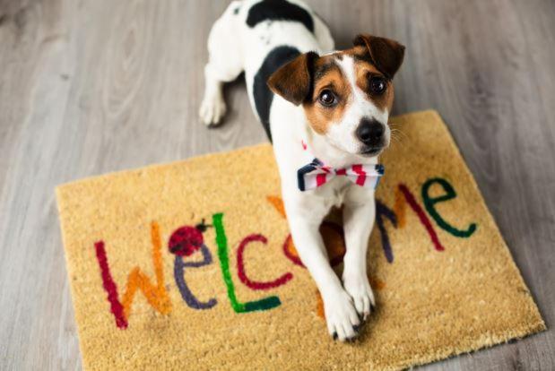 Villa Aye Pousada Boutique Petfriendly Socorro  Bagian luar foto